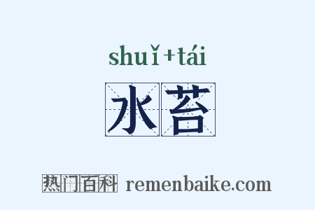 水苔是什么意思的图片